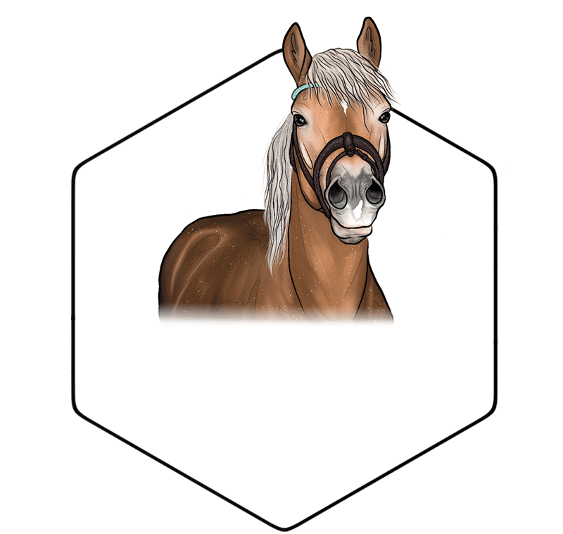 Tymeqns Sticker by Equinns