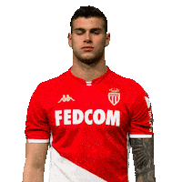 Ligue 1 Football Sticker by AS Monaco