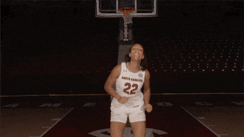 get excited GIF by gamecocksonline