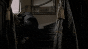 Fall Trip GIF by MASTERPIECE | PBS