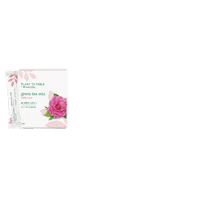 Tea Nutrilite Sticker by amwayjapan