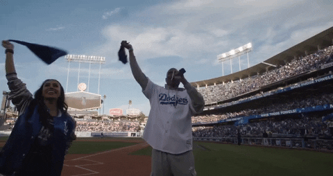 Los Angeles Dodgers Sport GIF by MLB