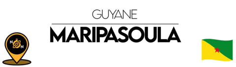 Guyane Sticker by NoirNomads