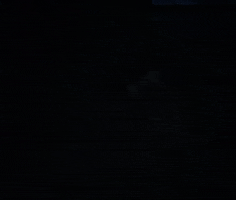 Fairly Local GIF by twenty one pilots