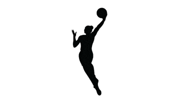 Basketball Logo GIF by WNBA