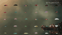 Animated Cartoon Flowers Liquid Motion