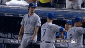tex GIF by MLB