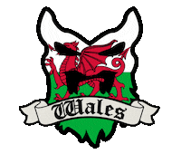 Beard Wales Sticker by BEARDED VILLAINS