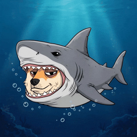 Shiba Inu Swimming GIF by Doge Pound