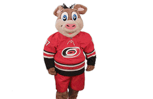 Excited Ice Hockey Sticker by NHL