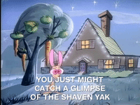 ren and stimpy nicksplat GIF