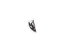 Winter Bat Sticker