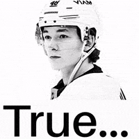 Ny Islanders GIF