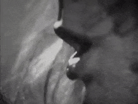 whitesnake GIF