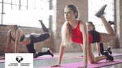 UPVEHU master posgrado ehu postgrado GIF