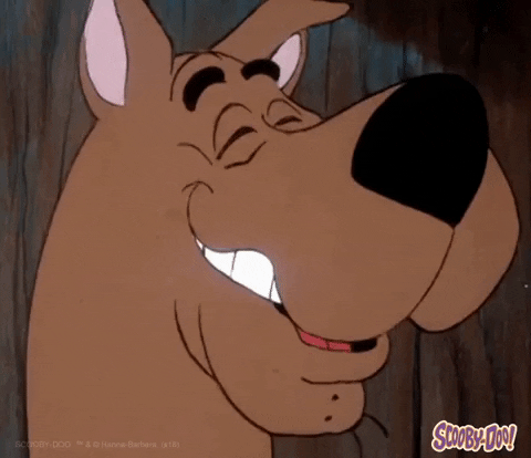 Happy Cartoon GIF by Scooby-Doo