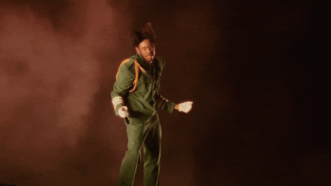 Tylerthecreator GIF by Respective