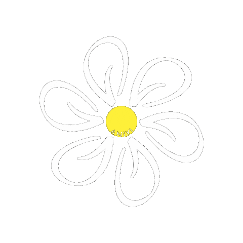 Summer Flower Sticker by anixigifts