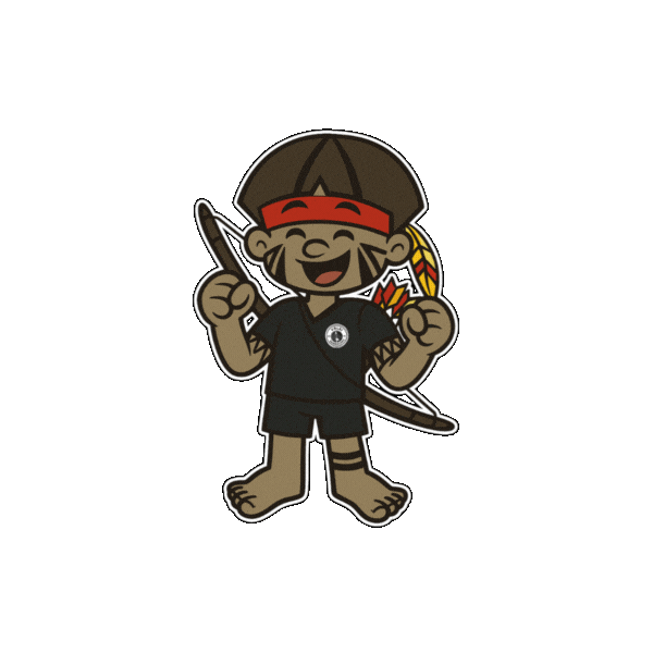 furiaflecha giphyupload furia flecha volei guarulhos vai flecha Sticker