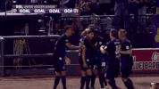 soccer GIF by Louisville City FC