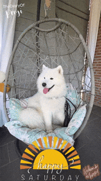 Happy Weekend GIF