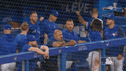 Major League Baseball Sport GIF by MLB