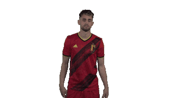 Red Devils Football Sticker by Royal Belgian FA