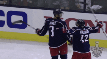 happy 2019 stanley cup playoffs GIF by NHL