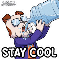 Stay Hydrated Drink Water GIF by VeeFriends