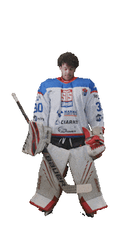 Hockey Player Sticker by STS Sanok