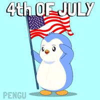 United States Penguin GIF by Pudgy Penguins