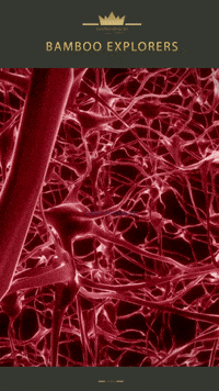 Rhizome Dive GIF by bestbambus