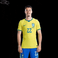 Fifa World Cup Brazil GIF by Respective