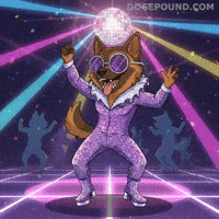 Happy Lets Go GIF by Doge Pound