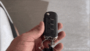 Driving Lets Go GIF by Namaste Car