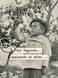 broteria  GIF