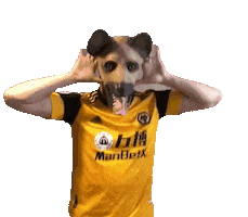 Barbosa Deibo Sticker by ErezOficial