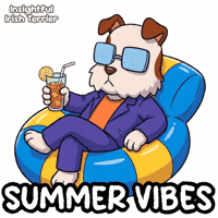 Dog Summer GIF by VeeFriends