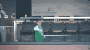 boston celtics dancing GIF by NBA