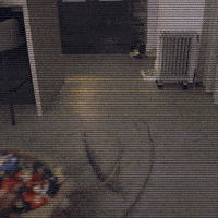 elfwatch xmas elf elf on the shelf elfwatch GIF