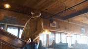 television drama GIF by Siren
