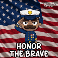 Stars And Stripes Day GIF by VeeFriends
