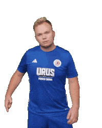 eintracht-lueneburg logo torjubel wappen basti Sticker