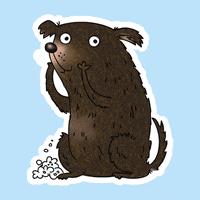 kochstrasse dog kochstrasse hund hundeliebe GIF