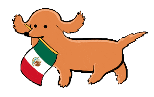 Cinco De Mayo Sticker by Stefanie Shank