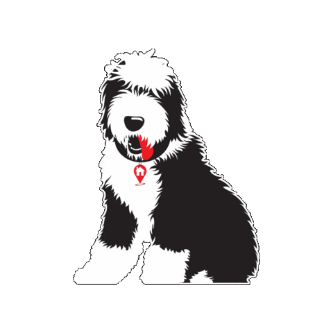 Dwellbarney Sticker by Dwell Realty