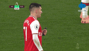 Premier League Arsenal GIF by MolaTV