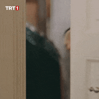 Merve Dizdar Kim GIF by TRT