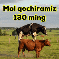 Press GIF