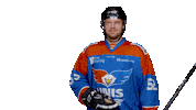 unisflyers goal hockey mark eagles Sticker